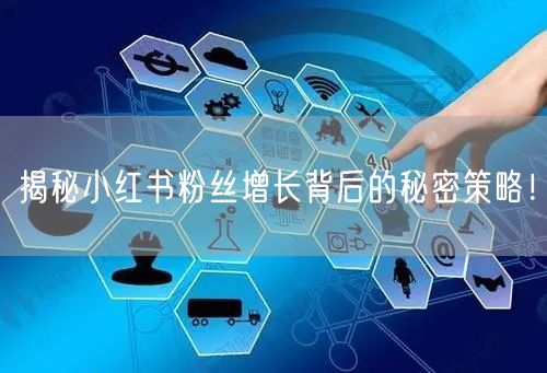 揭秘小红书粉丝增长背后的秘密策略！