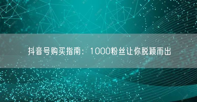 抖音号购买指南：1000粉丝让你脱颖而出