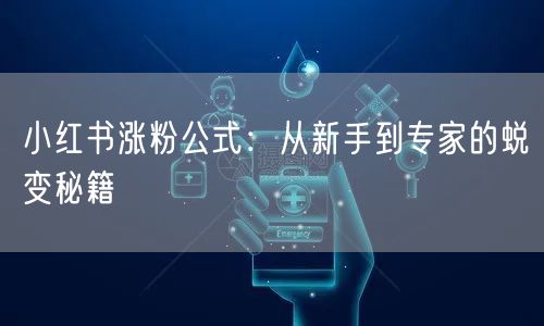 小红书涨粉公式：从新手到专家的蜕变秘籍