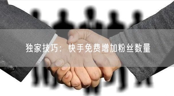 独家技巧：快手免费增加粉丝数量