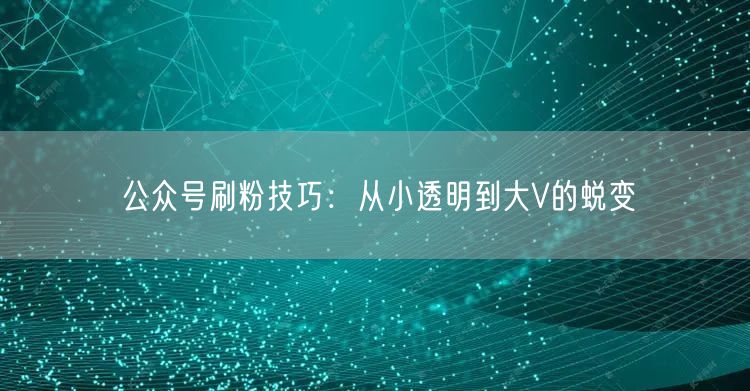 公众号刷粉技巧：从小透明到大V的蜕变