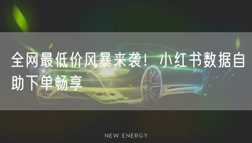 全网最低价风暴来袭！小红书数据自助下单畅享