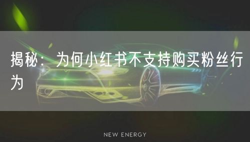 揭秘：为何小红书不支持购买粉丝行为