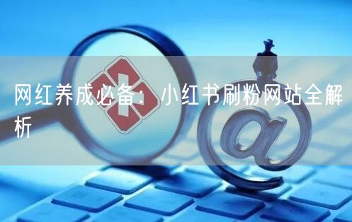 网红养成必备：小红书刷粉网站全解析